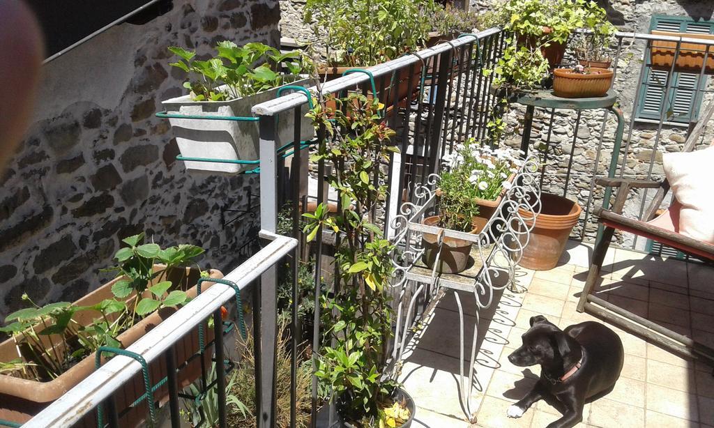 Casa Med Holiday Home Isolabona Ngoại thất bức ảnh